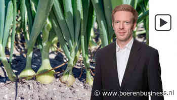 Pitje onder de uienmarkt wordt lager gedraaid