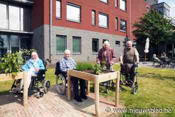 Leerlingen PITO maken belevingstuin voor wzc Aalm. Cuypers in opdracht van VRT MAX-reeks