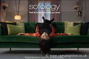 Sofology appoints creative agency after five-way pitch