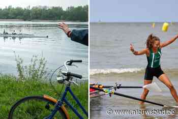 Nieuwe olympische discipline in het roeien moet spektakel toevoegen: TRT Hazewinkel organiseert wedstrijd Beach Sprint Rowing