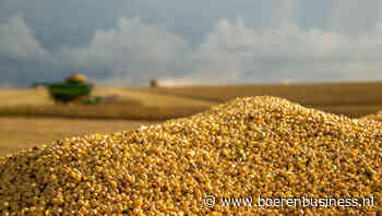 Belastingplan ontsteekt vuurtje onder maïs en soja