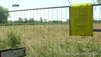 Buurtprotest tegen bouwplannen Hoekakker in Ekeren: “Een stad bouwen in een dorp levert problemen op”