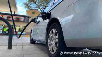 Sunshine State continues to see fall of average gas prices