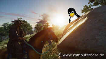 Ghost of Tsushima auf Linux im Test: Benchmarks zum Konsolen-Port auf Steam Deck und Linux-PC