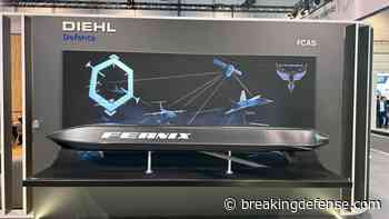 Diehl close to FEANIX drone deal with Germany, says project lead