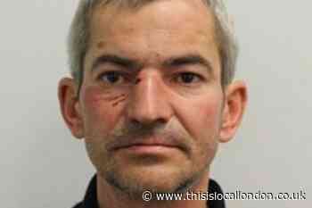 Mentally ill Crystal Palace killer was recently discharged