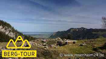 Krokus-Traum und Chiemsee schaun: Rauf zur Stoibenmöseralm