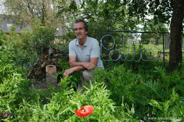 Na 30 jaar neemt Wingens schepen Hedwig Kerckhove (66) afscheid van politiek: “Het voorbije jaar is er te veel gebeurd”