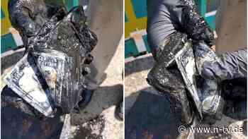 Metallangler stoßen auf Tresor: Paar fischt 100.000 US-Dollar aus Teich