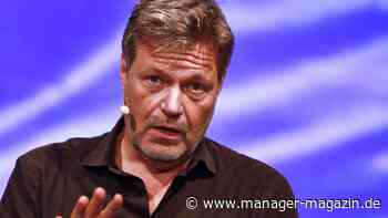 Robert Habeck: Wirtschaftsminister für Aussetzung des deutschen Lieferkettengesetzes