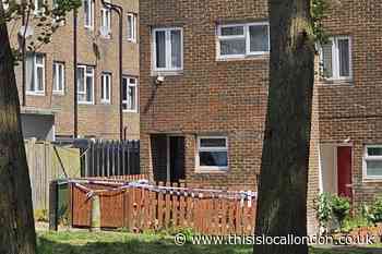 Nightingale Vale Woolwich: Injured woman still critical