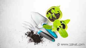 Everything you need for a thriving garden