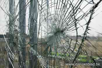 Twintiger trekt spoor van vernieling en spuwt naar politie: vijftien maanden voorwaardelijke celstraf