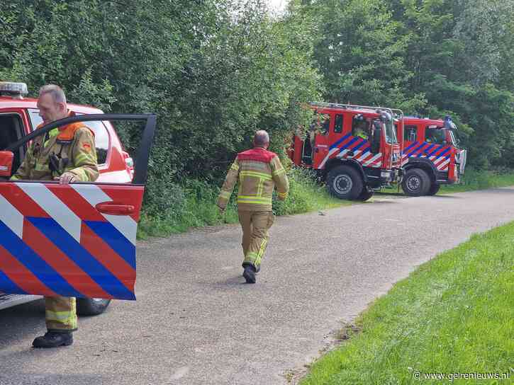 Voorbijgangers weten bosbrand snel te doven