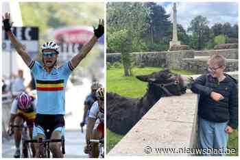 Hoe een ezel, genoemd naar Tom Boonen, wereldberoemd werd: “Plots zagen we ons Tommeke op TripAdvisor”