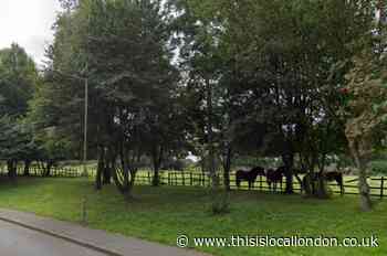 A12 Brentwood 200-home development plan moves closer
