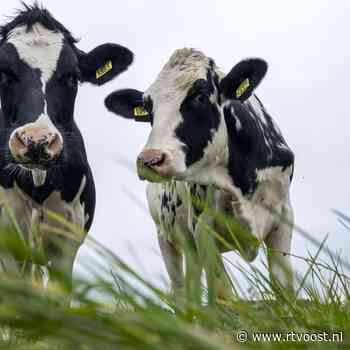 Overijssel krijgt 234 miljoen euro uit Den Haag voor verbetering van het landelijk gebied