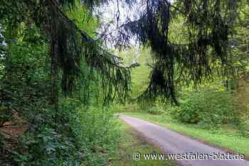 Nationalpark Egge: Schon 100.200 Stimmen beim Kreis Paderborn eingegangen