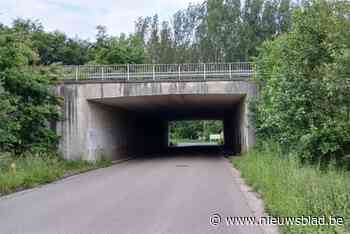 Lagere brug op Droogbroek moet zware vrachtwagens uit Eikaert weren