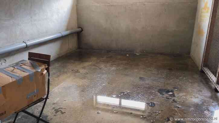 Schimmel en wateroverlast in de kelder: 'Ik wil hier niet meer wonen'
