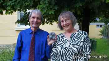 Sensation in der Tongrube Pforzen: Kleinster fossiler Menschenaffe entdeckt