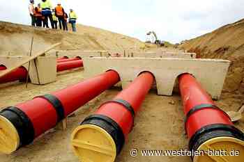 Rhein-Main-Link: Amprion stellt Alternativen zum Trassenverlauf vor