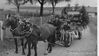 Blick auf lange Vereinsgeschichte: Peitinger Bienenzüchter feiern 100-Jähriges