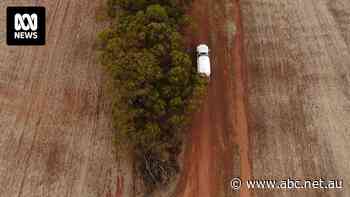 Dry paddocks, dead trees and empty water tanks. That's the grim story in this town