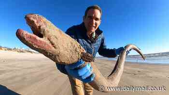 Human-sized sea monsters found 3,500 miles away from home as they invade Kansas river