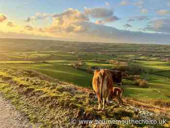 Dorset could get new National Park - but there's a catch