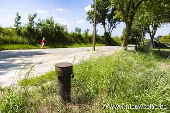 Dit plekje in Limburg is het enige in Vlaanderen met zeer lage grondwaterstand, en iedereen staat voor een raadsel