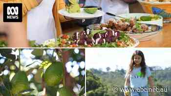 'It's a very alien food for Indians': Aussie avocados set to change the way people eat