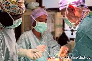 Dr. Emma im Kongo: 119 Operationen und eine wilde Geisterfahrt