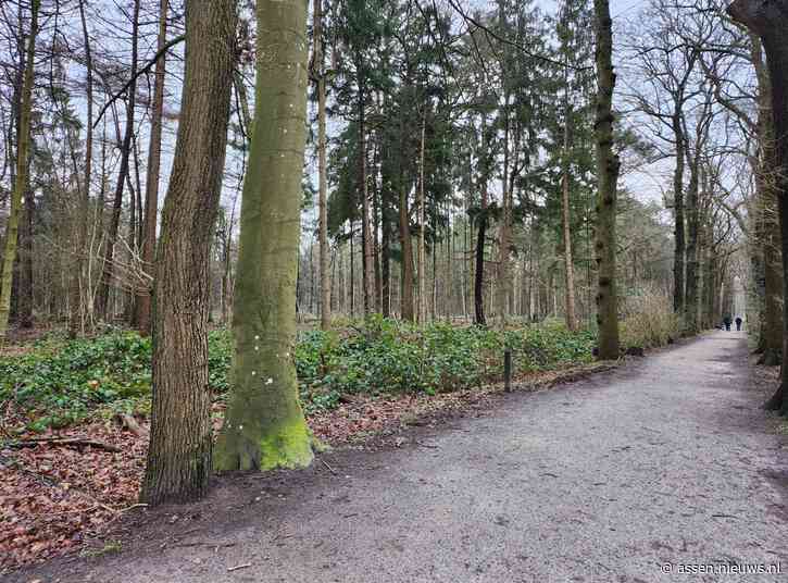 Fris weekendweer en kans op een bui