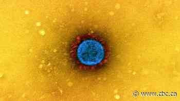 4 years later, COVID remains a year-round threat. Here's why this virus isn't seasonal quite yet