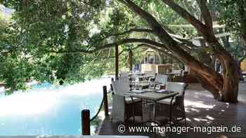 Südafrika als Workation-Tipp: Tagsüber Geschäfte machen, abends Zebras bestaunen