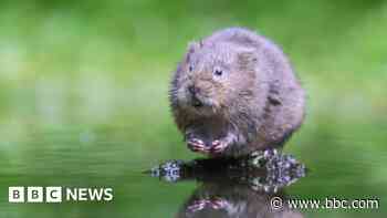 Nature groups launch legal bid over wildlife loss