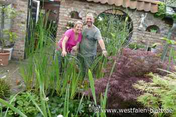 Wer hat den schönsten Garten Herfords?