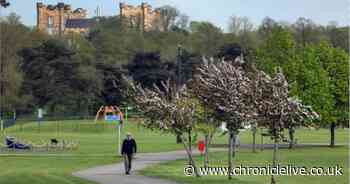 North Durham candidates for the General Election 2024