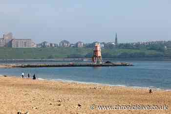 South Shields candidates for the General Election 2024