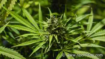 DeSantis vetoes bill restricting intoxicating hemp-based products