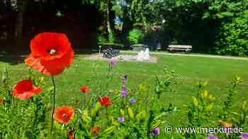 Kreisjugendring und seine Mitgliedsverbände laden zum Feiern