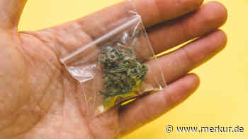 Cannabis-Club-Gründer bremst: Gras aus Clubs gibt es „erst Anfang nächsten Jahres“