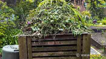 Humus ist ein wahrer Alleskönner: Das Gold des Gartens: So gelingt der Kompost