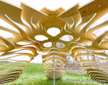 FLIM-FLAMS / Neal Lucas Hitch