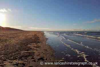 Lytham St Annes beach among best for dogs in the UK