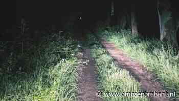 112-nieuws: verdachte situatie is intieme afspraak • vermiste jongen in bos