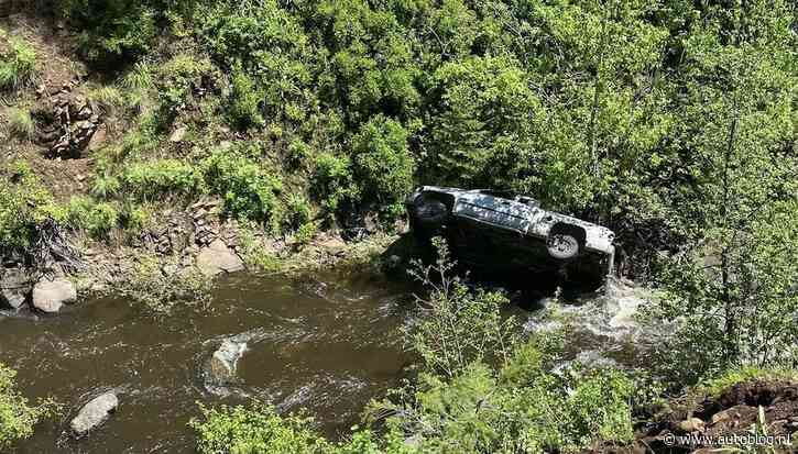 Goeie doggo loopt 6,5 kilometer om gecrashte baas te redden