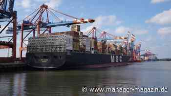 HHLA: Präsident des Unternehmensverbands Hafen Hamburg sieht keinen Grund zur Sorge wegen MSC-Einstieg