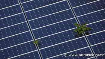 U.S. solar projects could boom as installations hit record